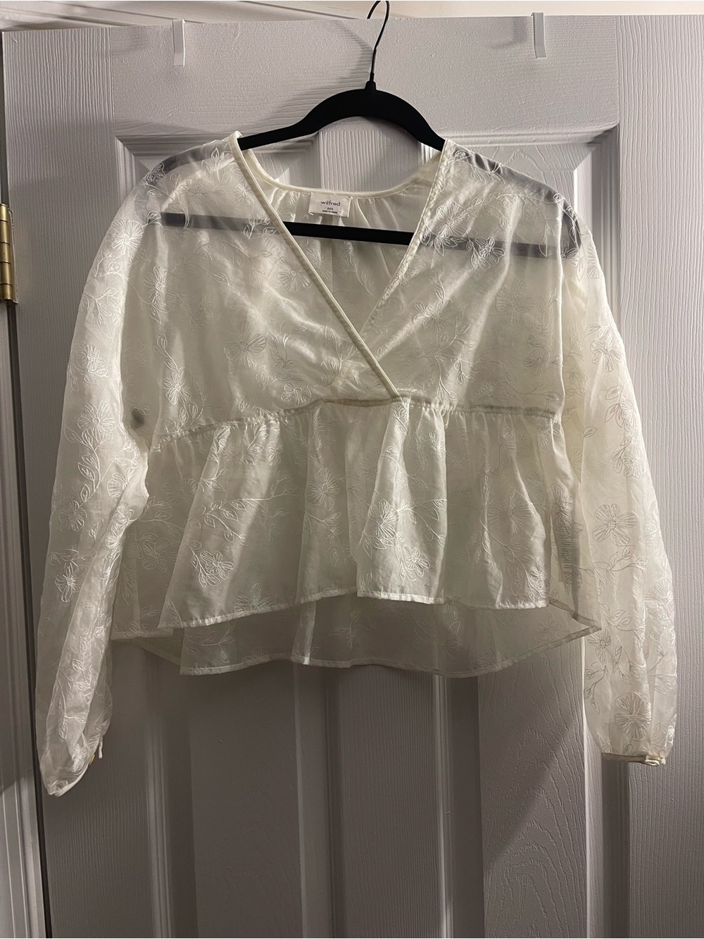 Aritzia Sheer Embroidered Airy Top